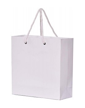  PAPER CARRY BAG