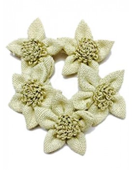 Eerafashionicing Jute Flowers Patches 8 for Women Dresses, Craft, Decor