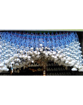 TejasCare Handmade Door Hanging Decoration-Handicraft Sea Shell
