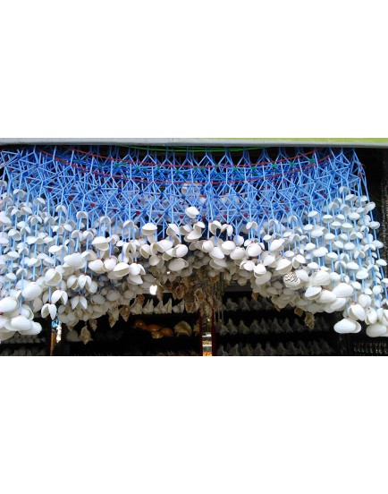TejasCare Handmade Door Hanging Decoration-Handicraft Sea Shell