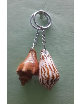 showpiece Keychain Key Ring from Original Natural sea Shells Handicrafts Made for Keys and Idol for Gift Keychain Key Rings (11 cm x 4 cm x 4 cm, Natural sea Shell Color) Set of 2